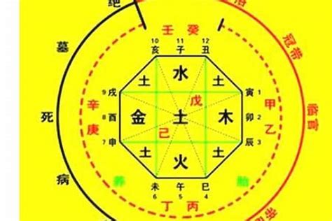 談笑八字|生辰八字算命、五行喜用神查詢（免費測算）